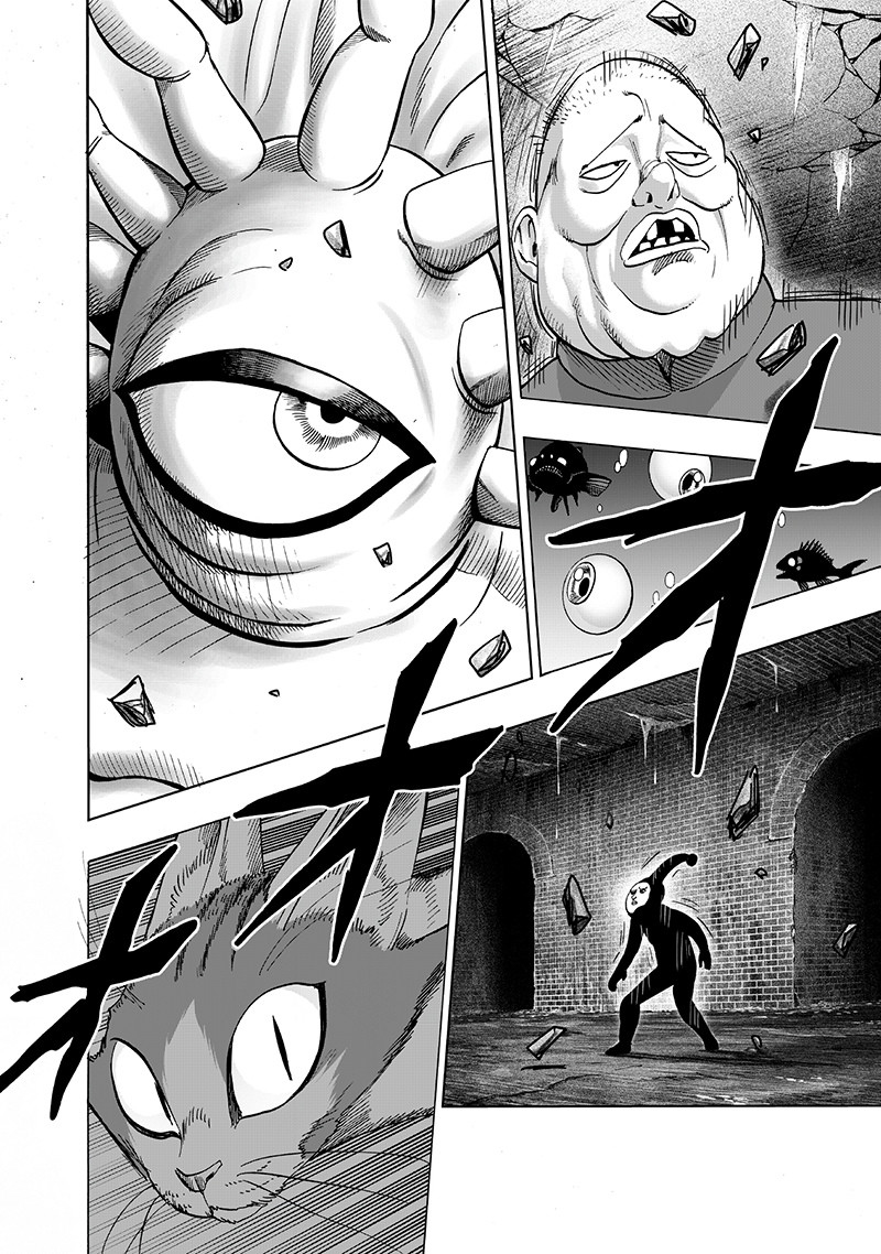 One punch Man: Chapter 106 - Page 24