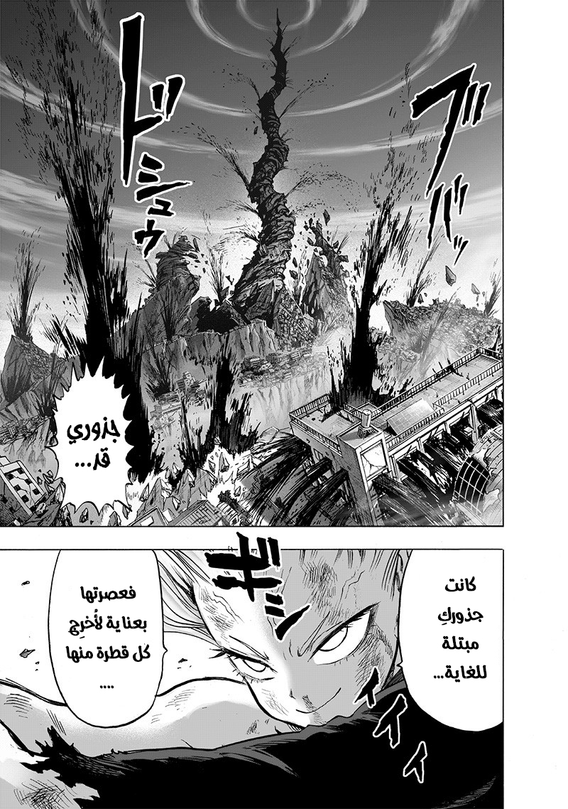 One punch Man: Chapter 134 - Page 20
