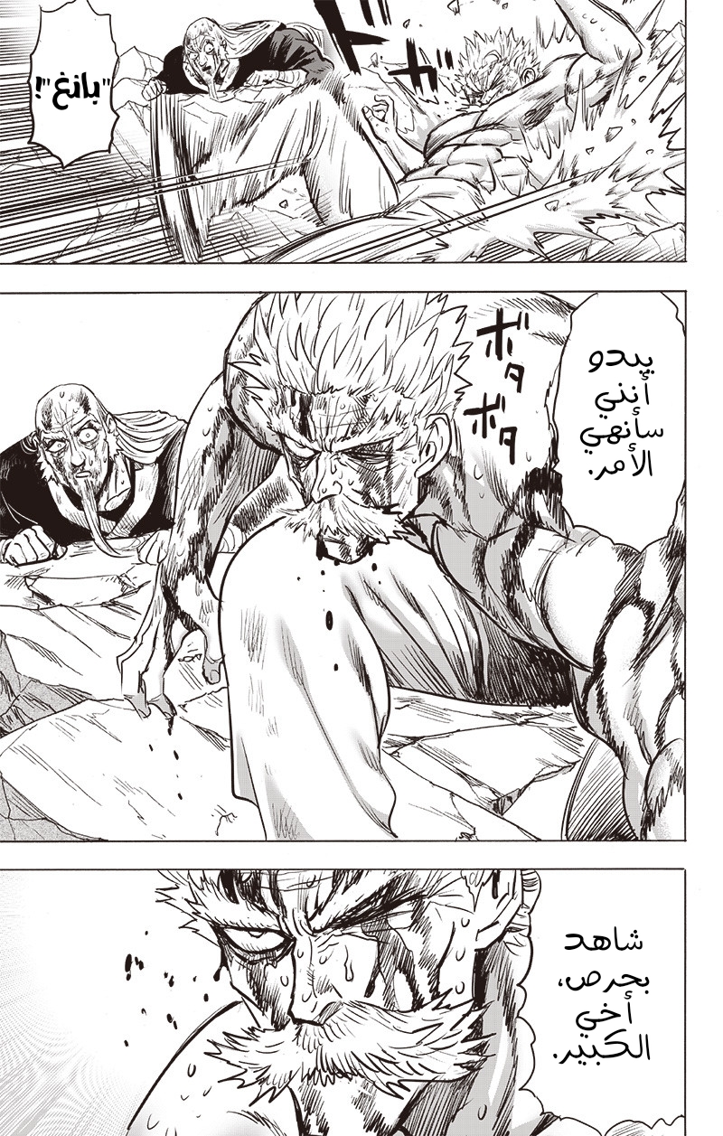 One punch Man: Chapter 150 - Page 24
