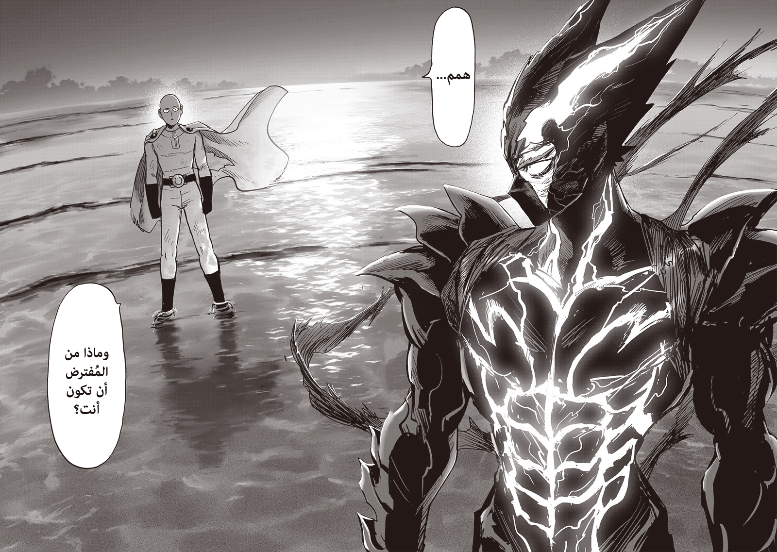 One punch Man: Chapter 160 - Page 27