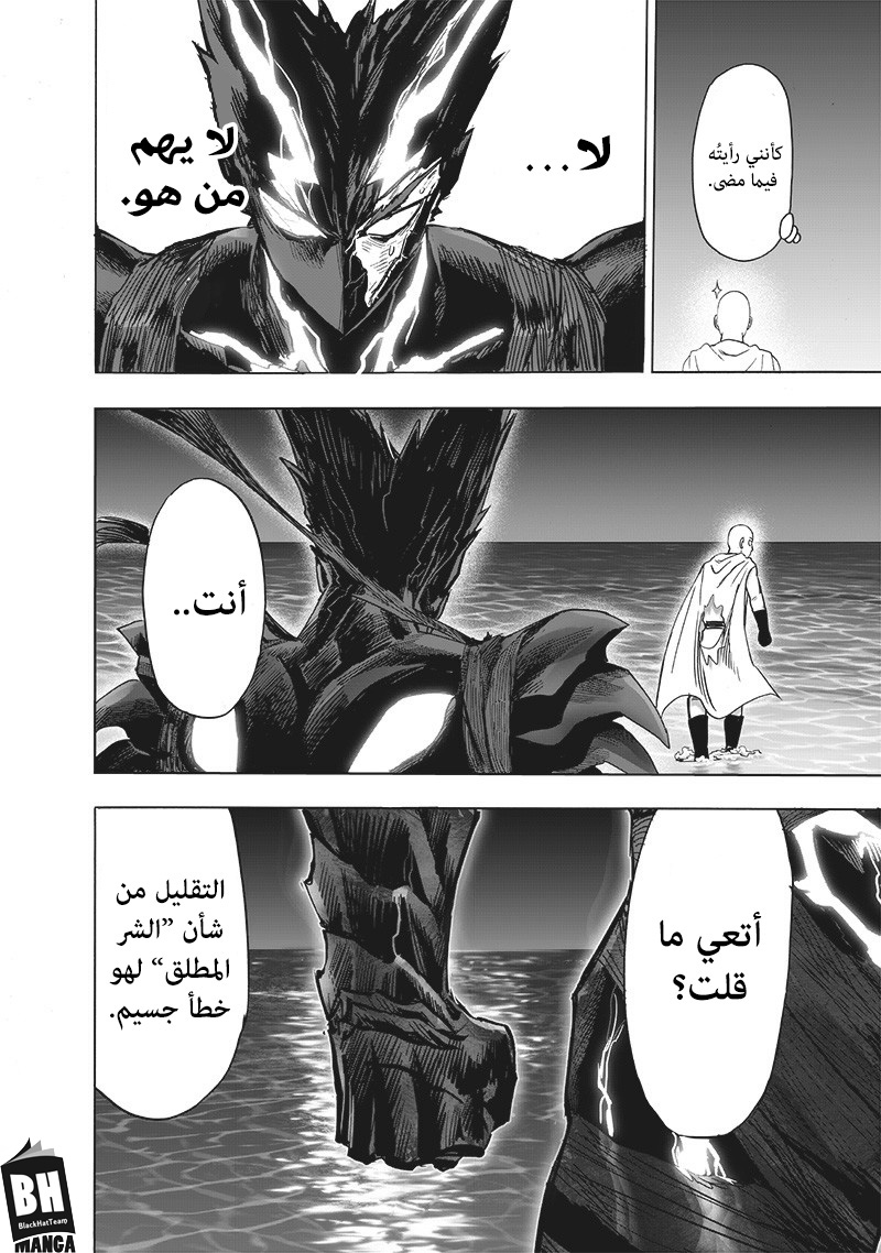 One punch Man: Chapter 161 - Page 17
