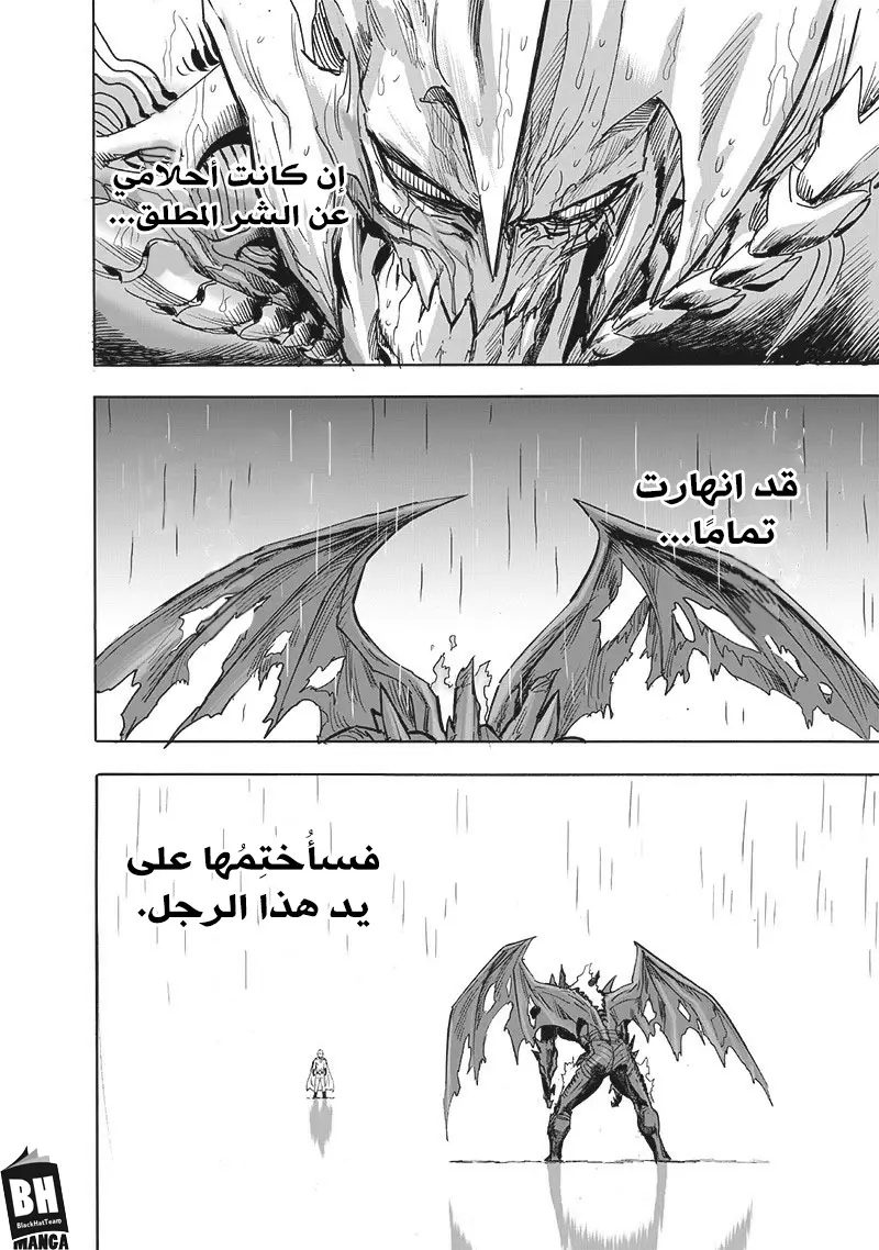 One punch Man: Chapter 164 - Page 31