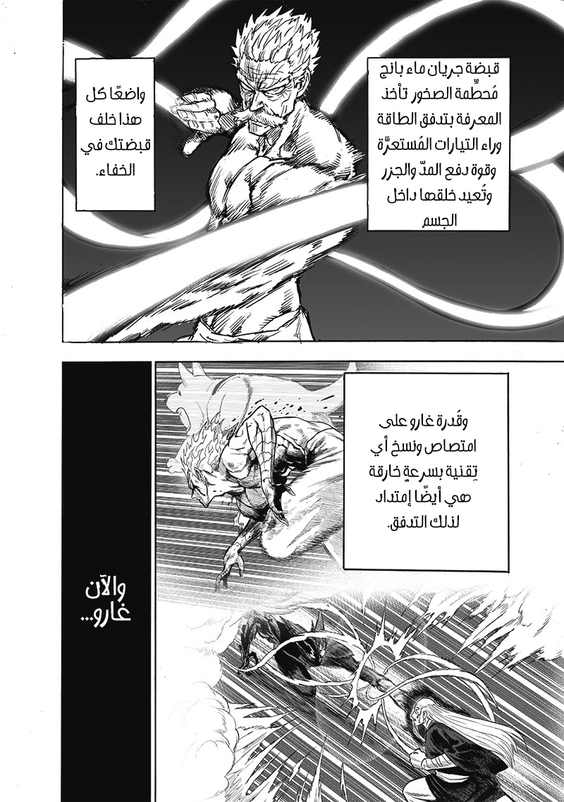 One punch Man: Chapter 165 - Page 3