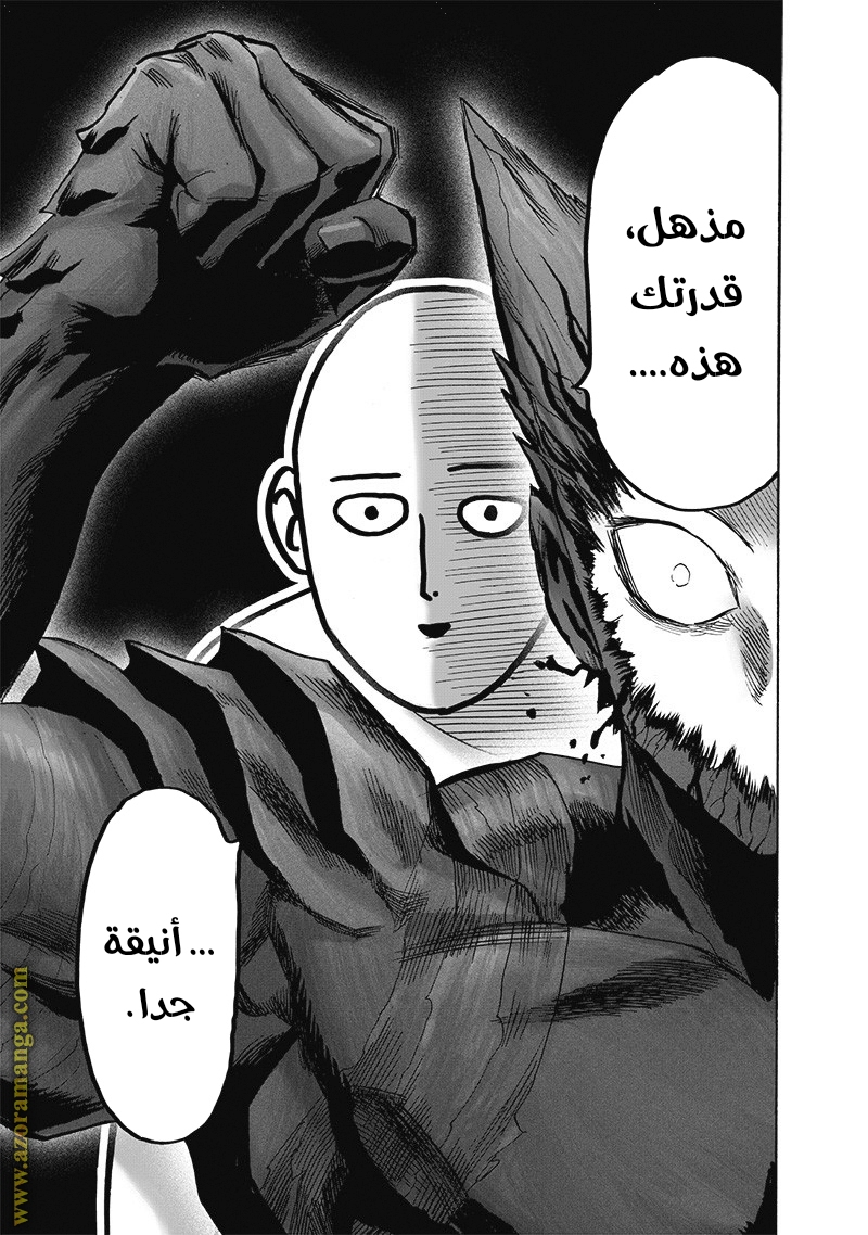 One punch Man: Chapter 168 - Page 30