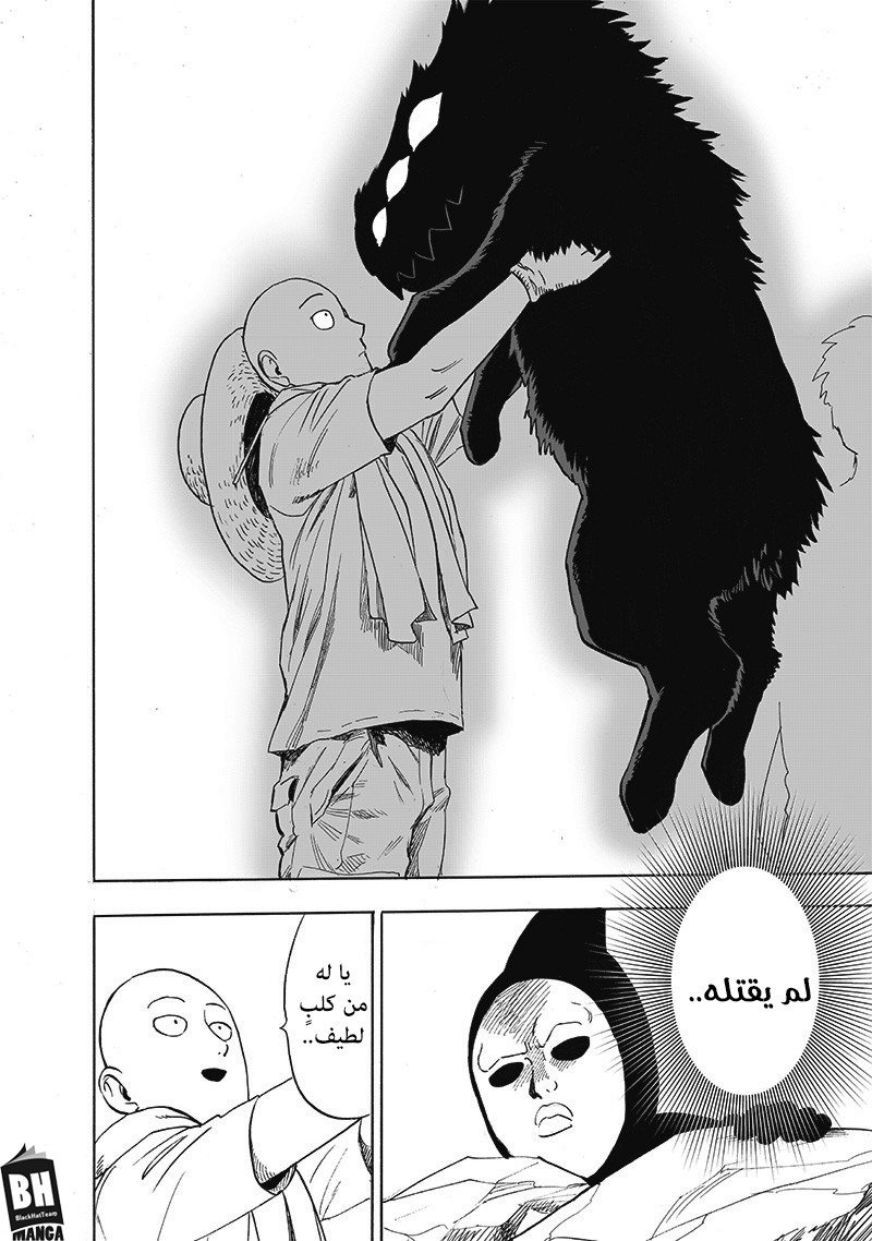 One punch Man: Chapter 171 - Page 27