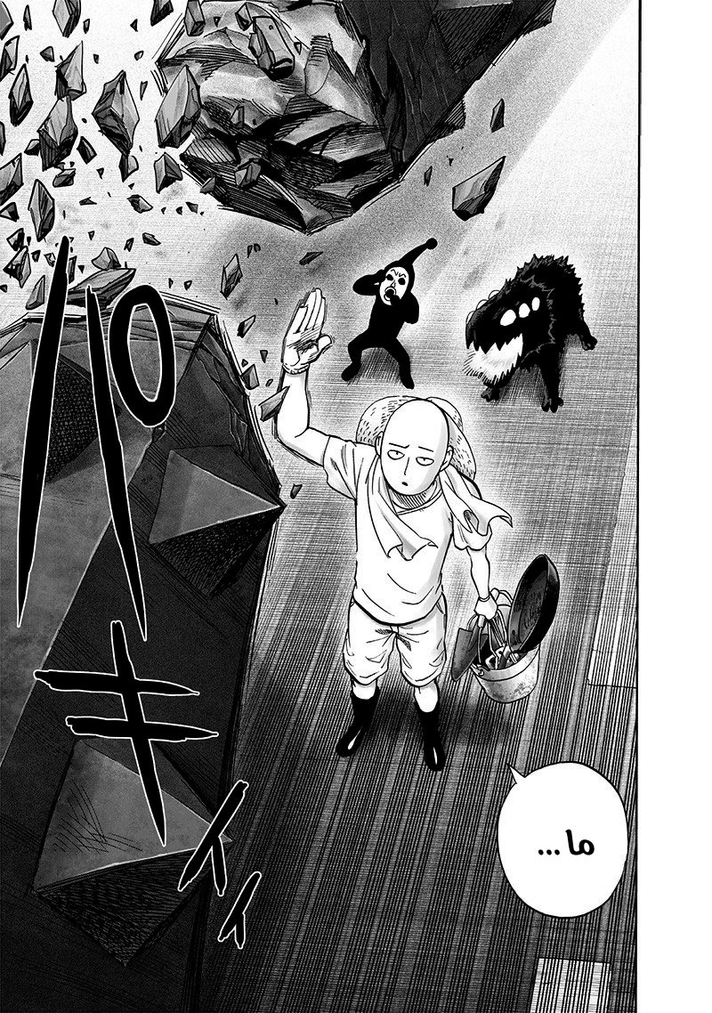 One punch Man: Chapter 172 - Page 20