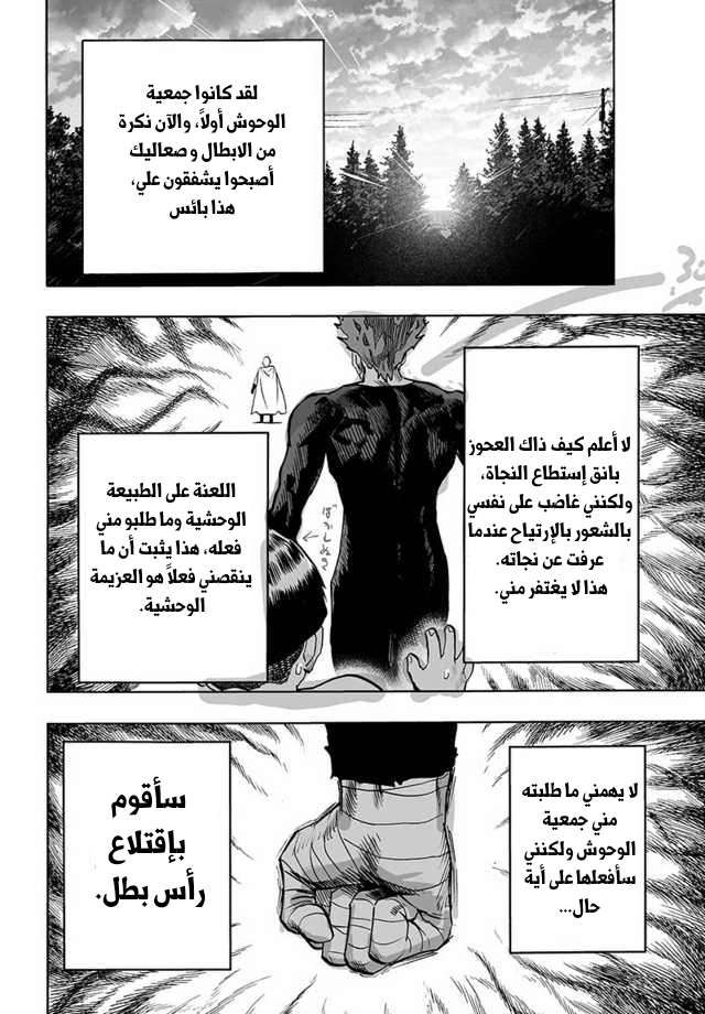 One punch Man: Chapter 87 - Page 29