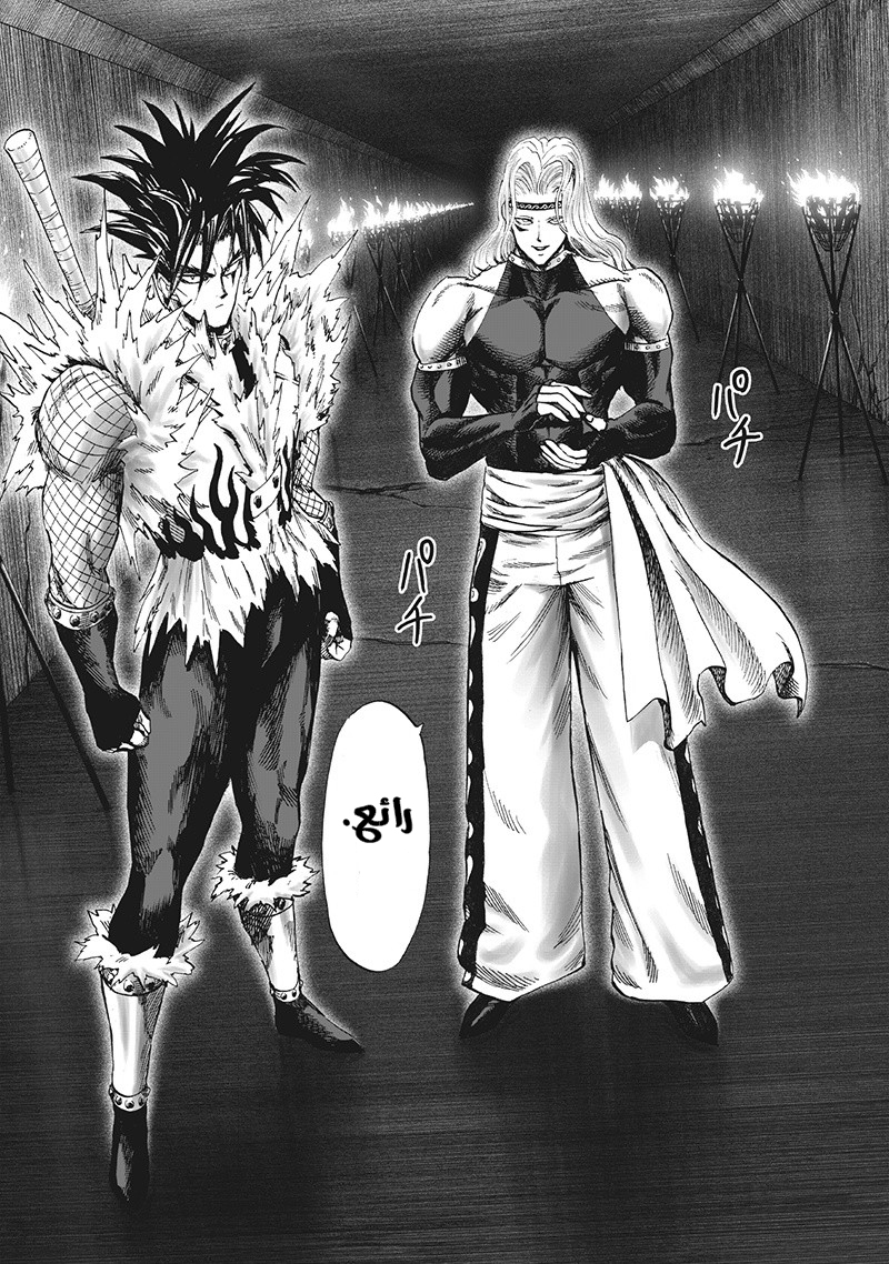 One punch Man: Chapter 95 - Page 22