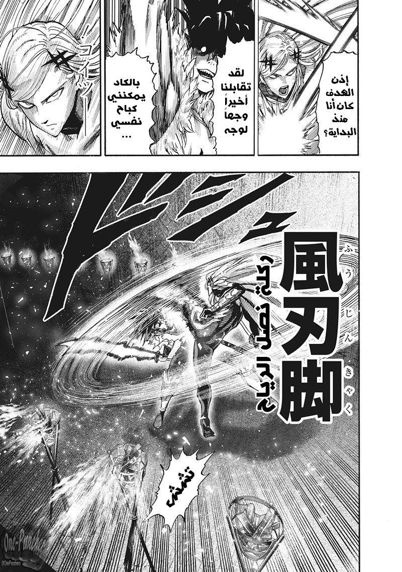 One punch Man: Chapter 95 - Page 27