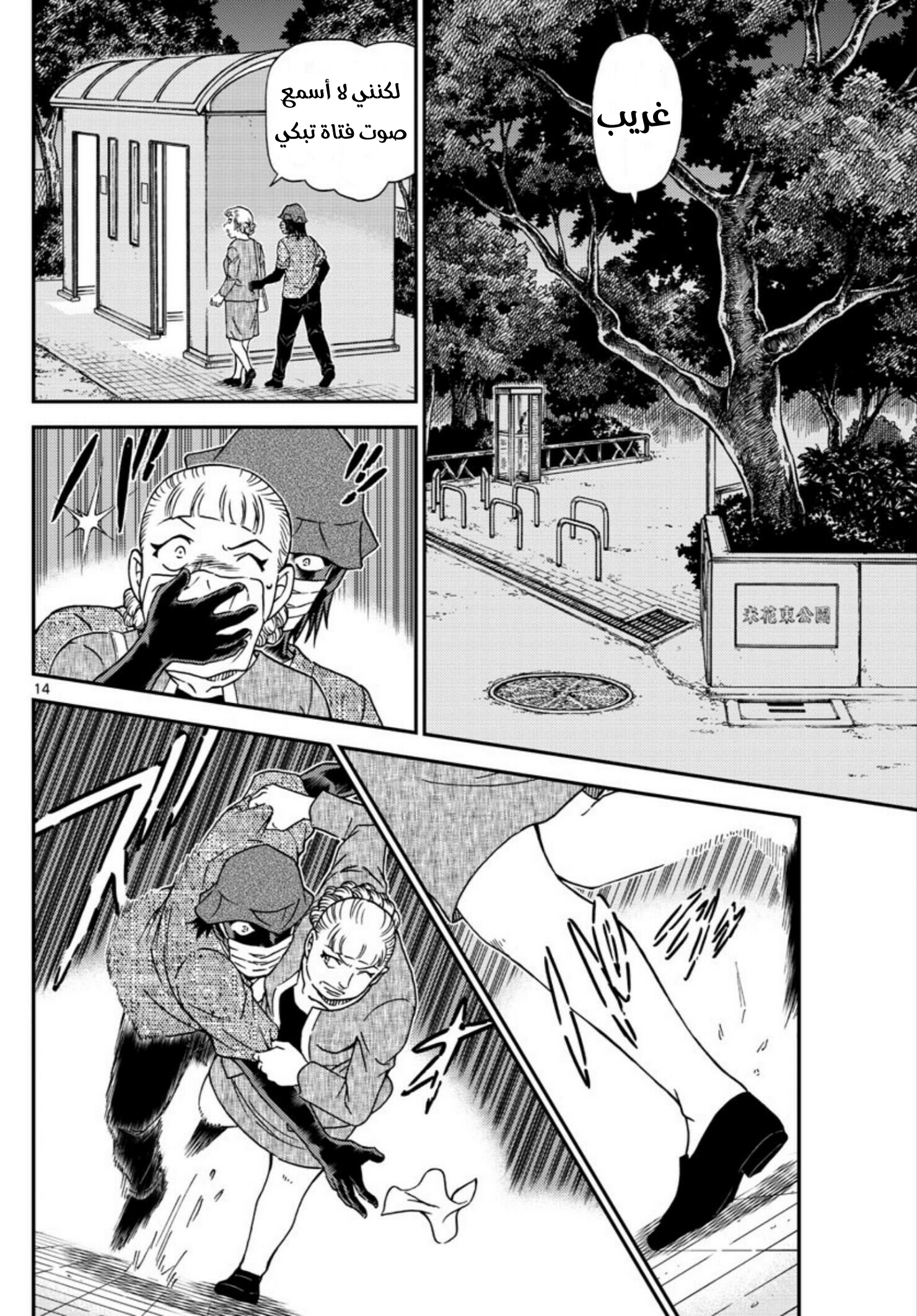 Detective Conan: Chapter 1013 - Page 14