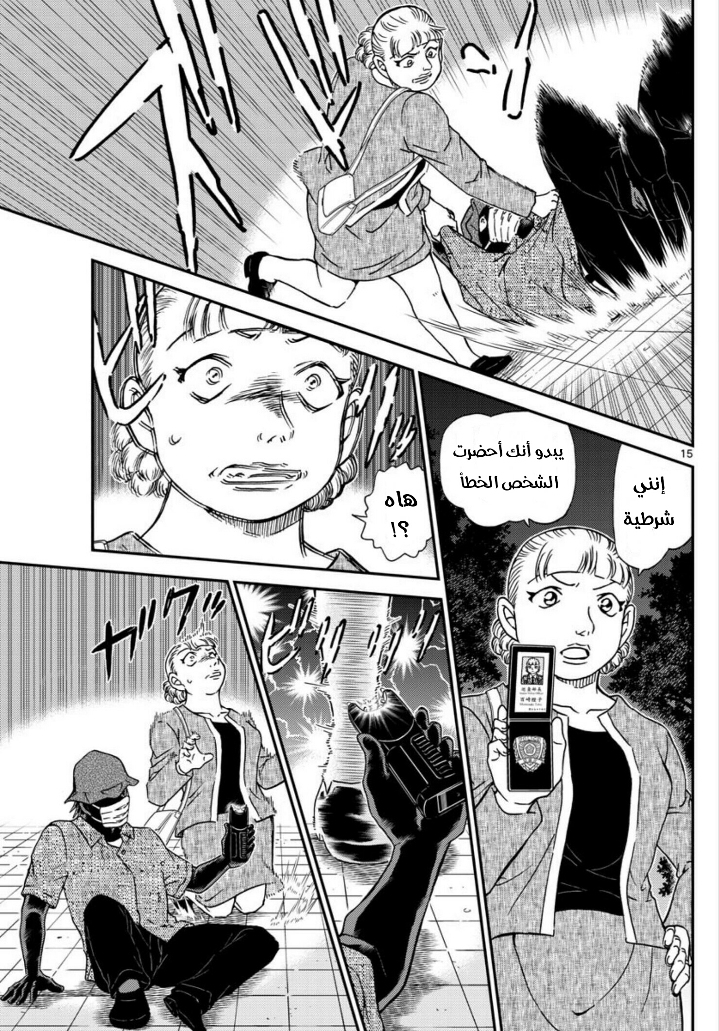 Detective Conan: Chapter 1013 - Page 15