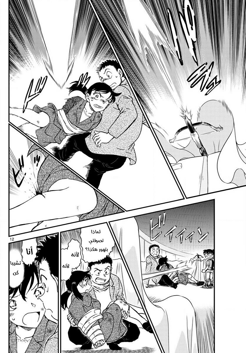 Detective Conan: Chapter 1017 - Page 12