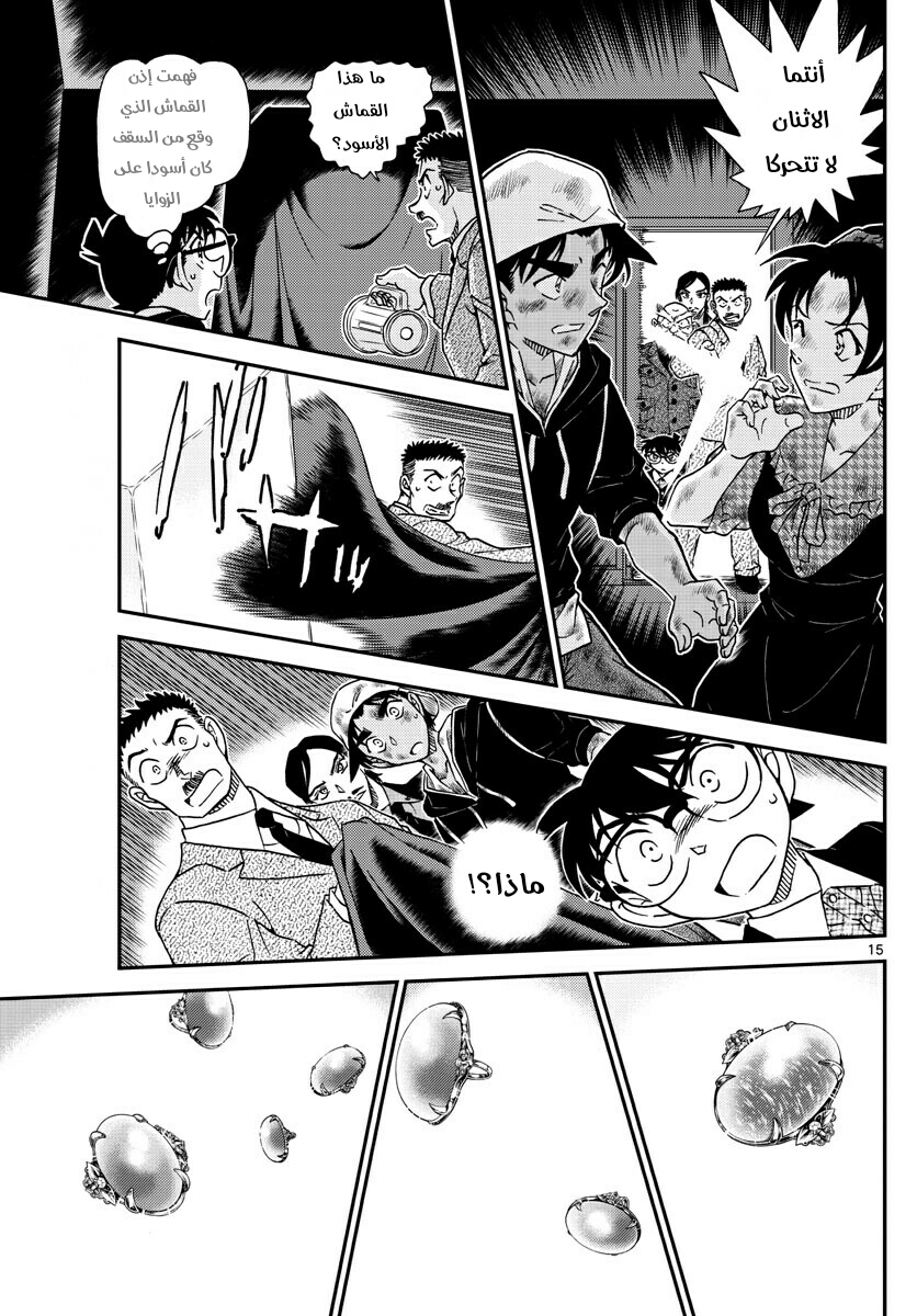 Detective Conan: Chapter 1019 - Page 16