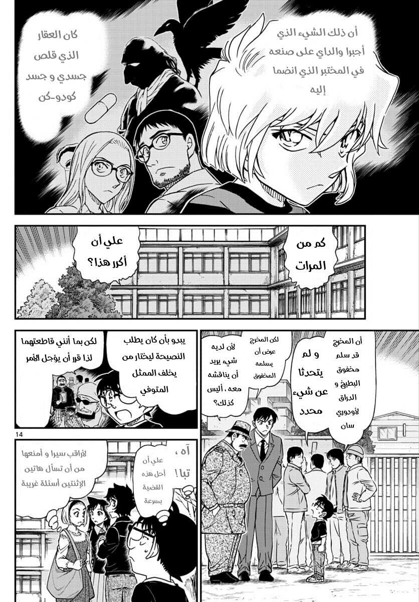 Detective Conan: Chapter 1025 - Page 14