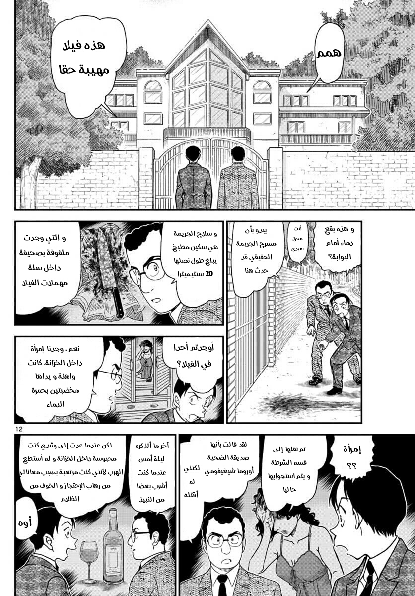 Detective Conan: Chapter 1033 - Page 12