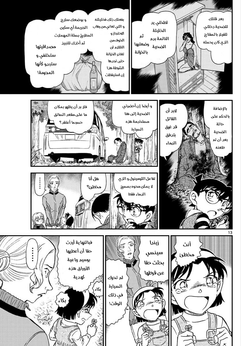 Detective Conan: Chapter 1034 - Page 13
