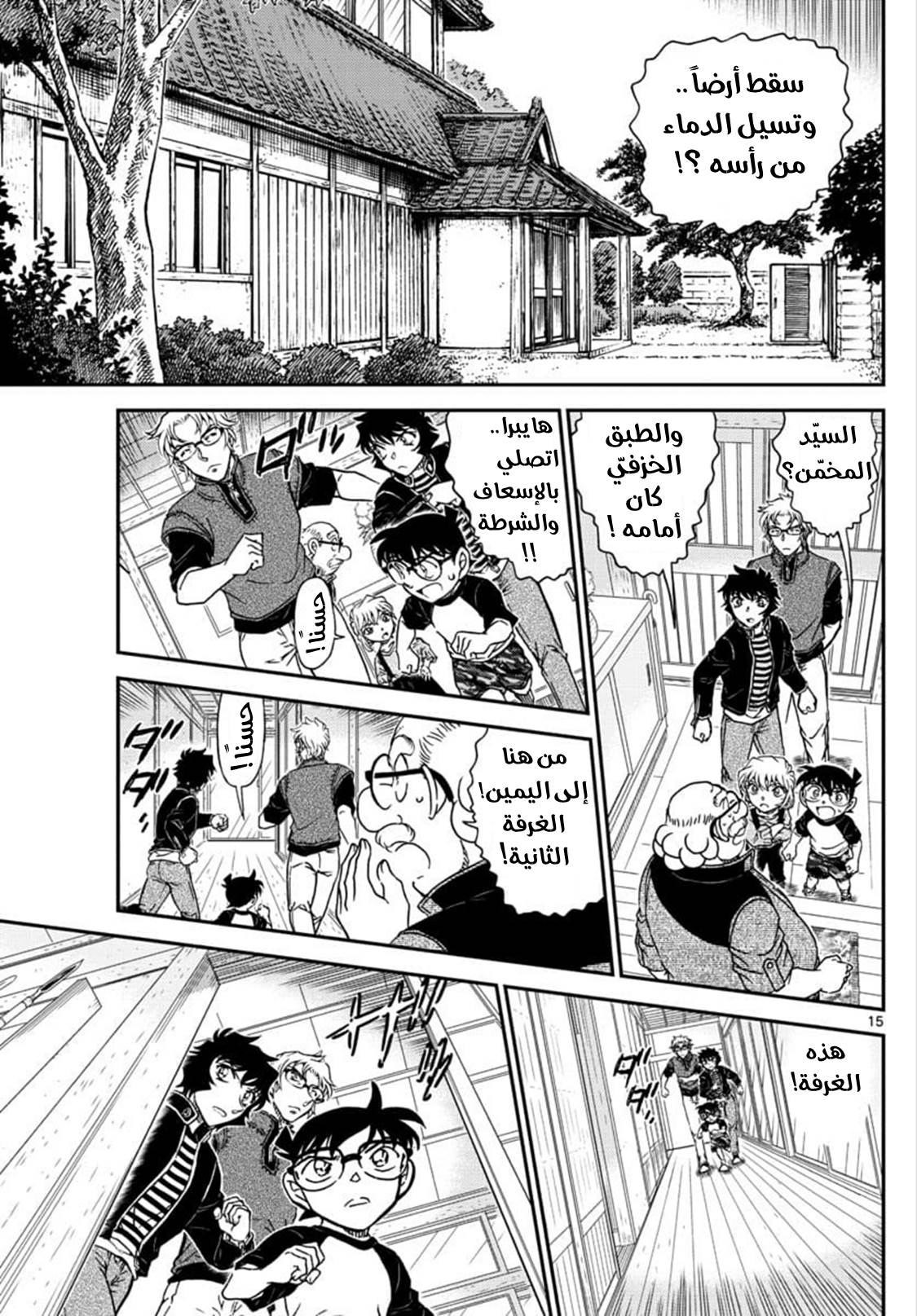 Detective Conan: Chapter 1035 - Page 17