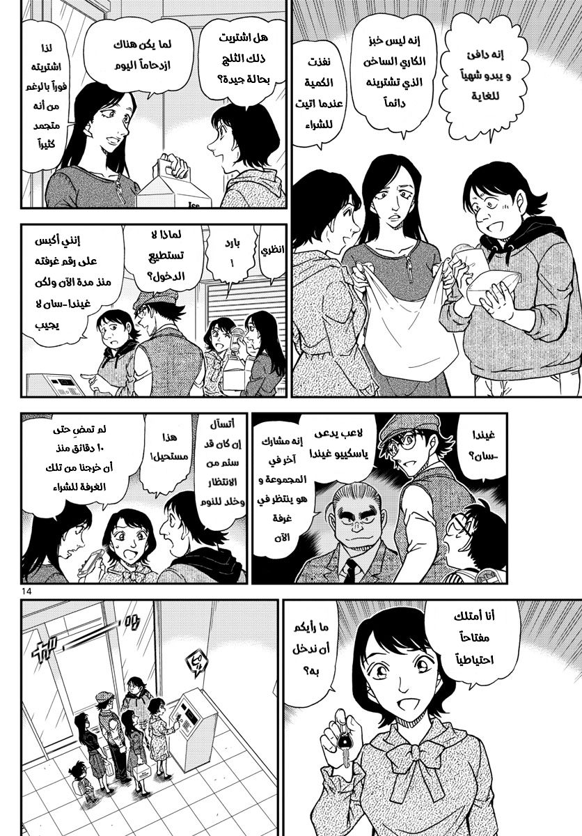 Detective Conan: Chapter 1043 - Page 14