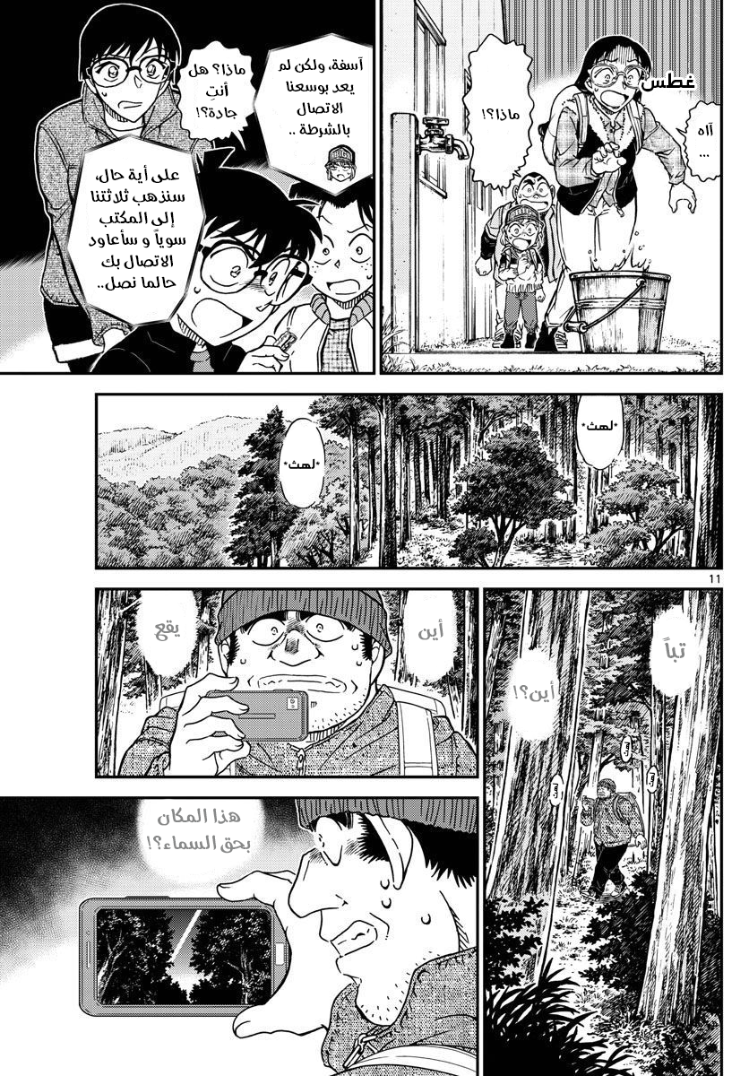 Detective Conan: Chapter 1052 - Page 12