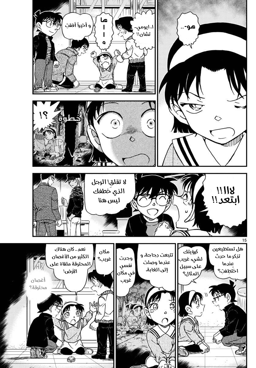 Detective Conan: Chapter 1052 - Page 16