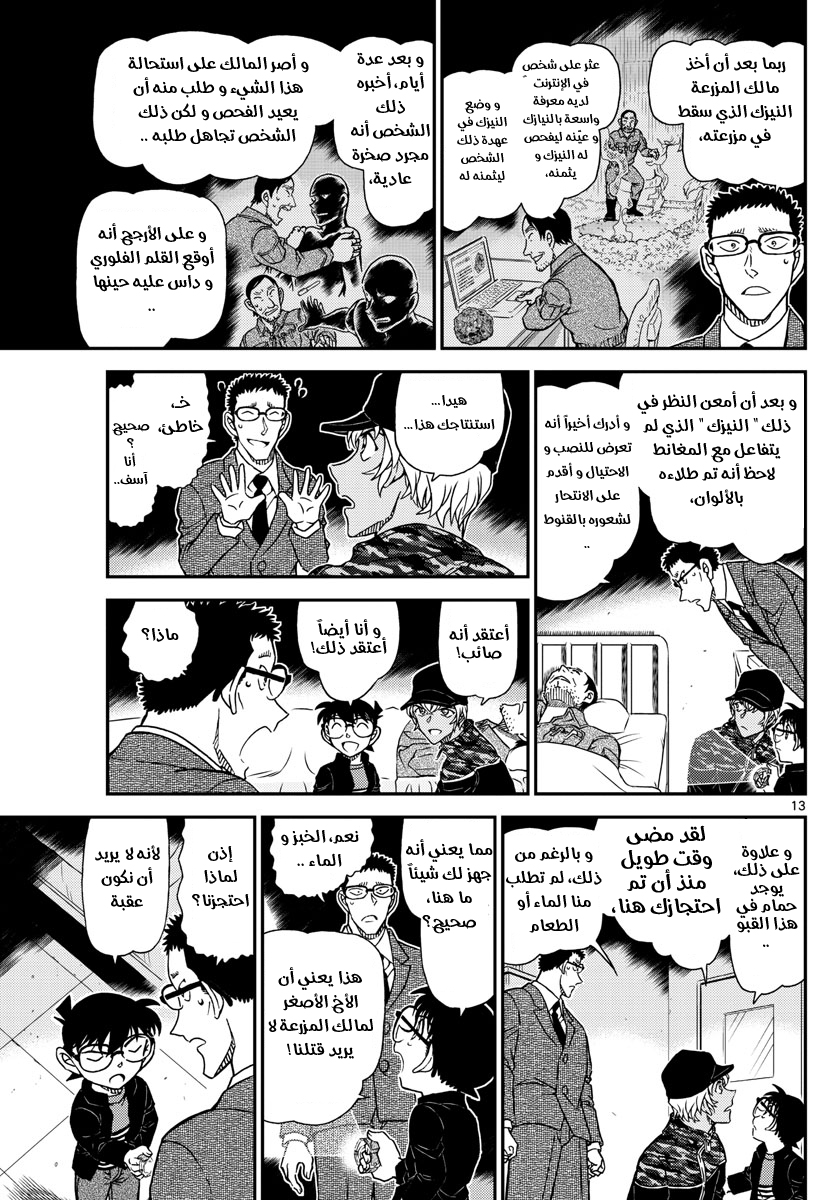 Detective Conan: Chapter 1053 - Page 14
