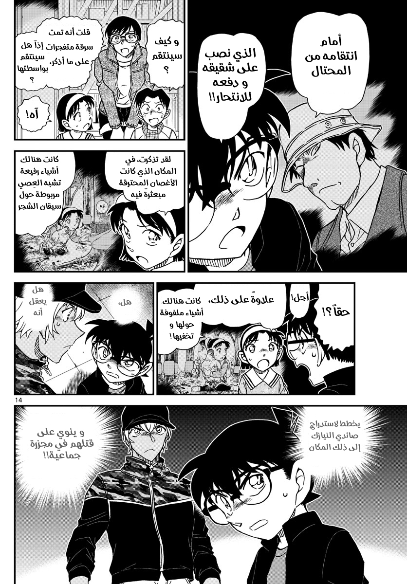 Detective Conan: Chapter 1053 - Page 15