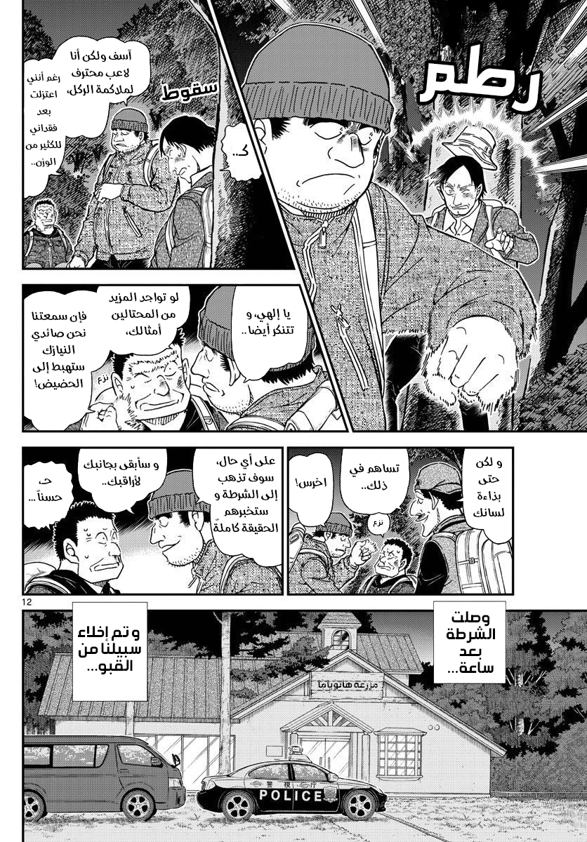 Detective Conan: Chapter 1054 - Page 13