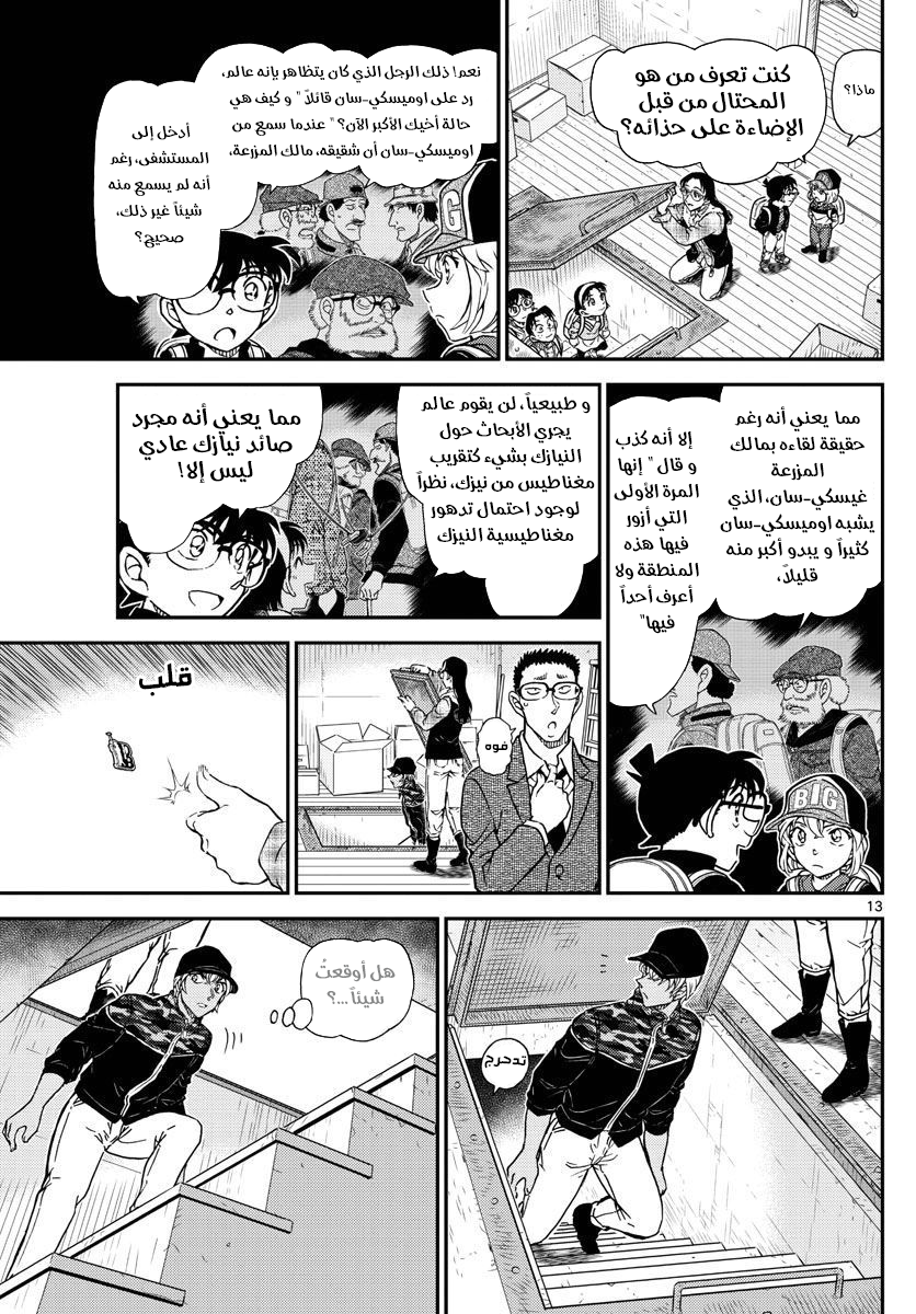 Detective Conan: Chapter 1054 - Page 14