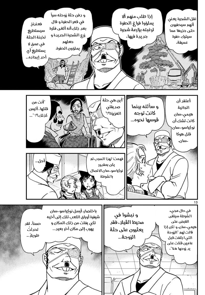 Detective Conan: Chapter 1057 - Page 13