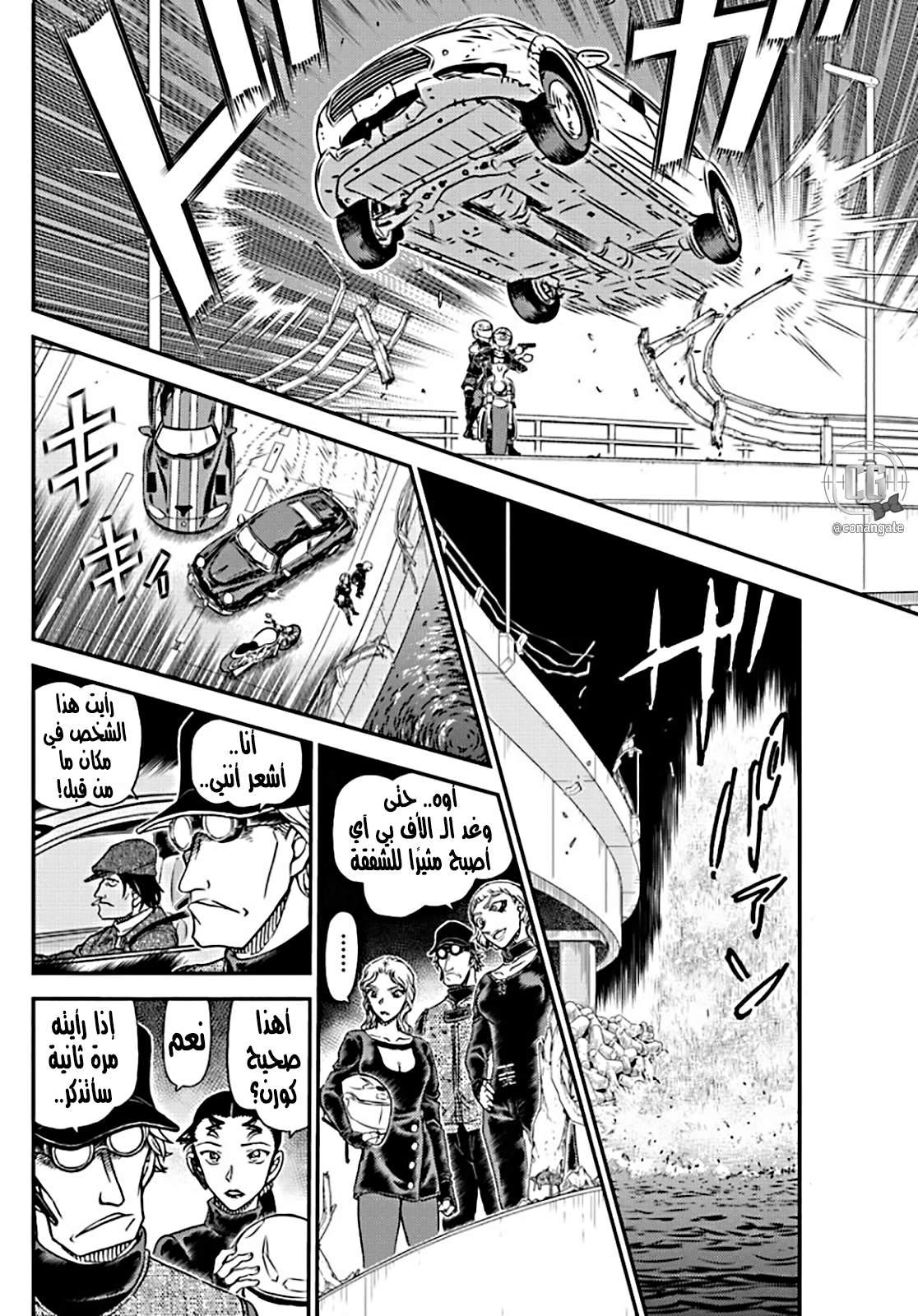 Detective Conan: Chapter 1063 - Page 12