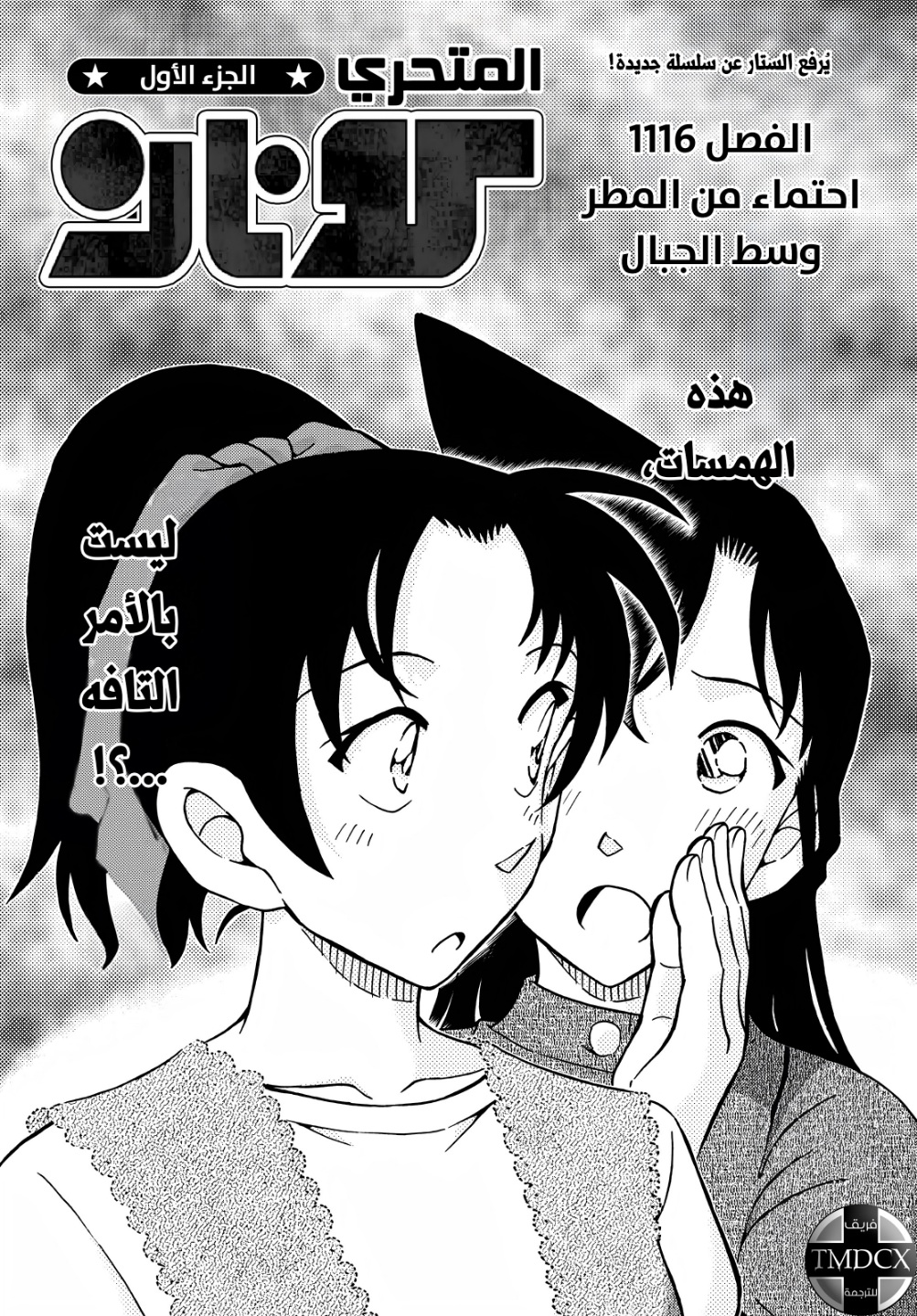 Detective Conan: Chapter 1116 - Page 2