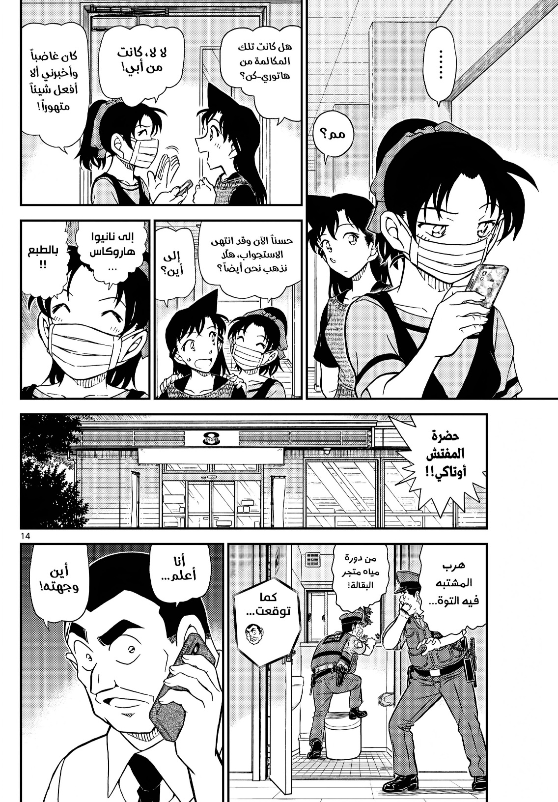 Detective Conan: Chapter 1132 - Page 14
