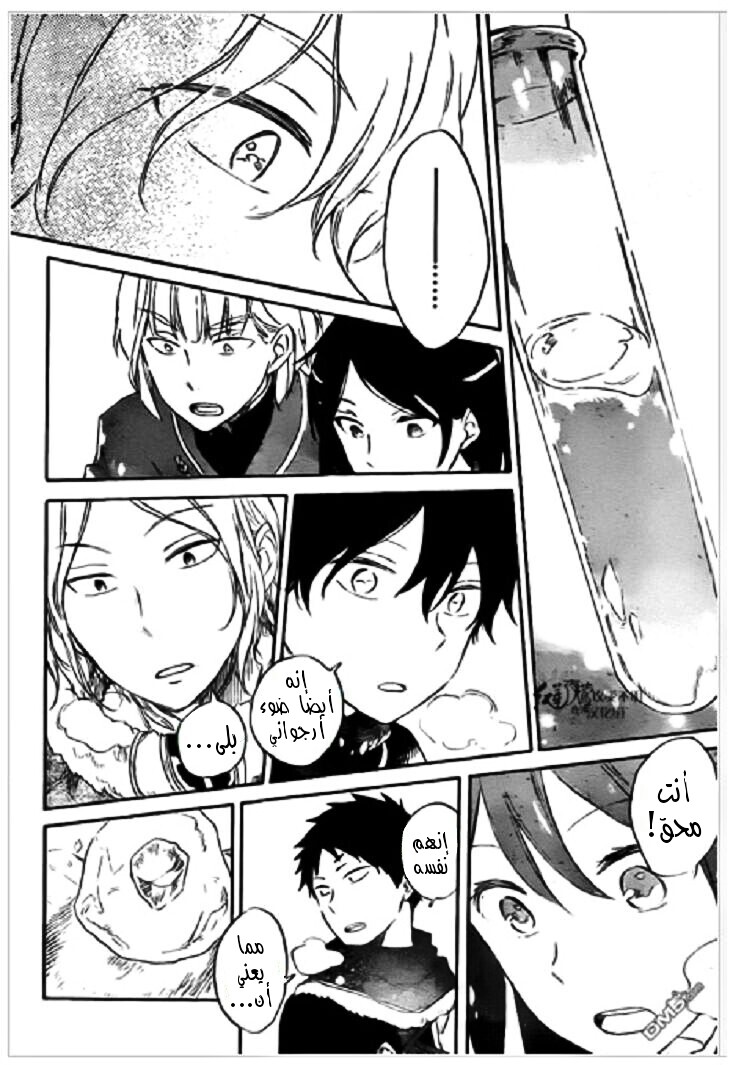 Akagami no Shirayukihime: Chapter 71 - Page 27