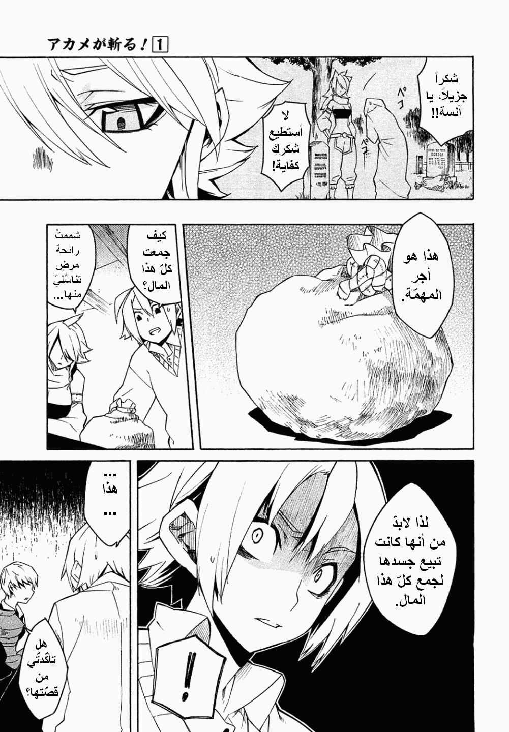 Akame ga Kill: Chapter 03 - Page 14