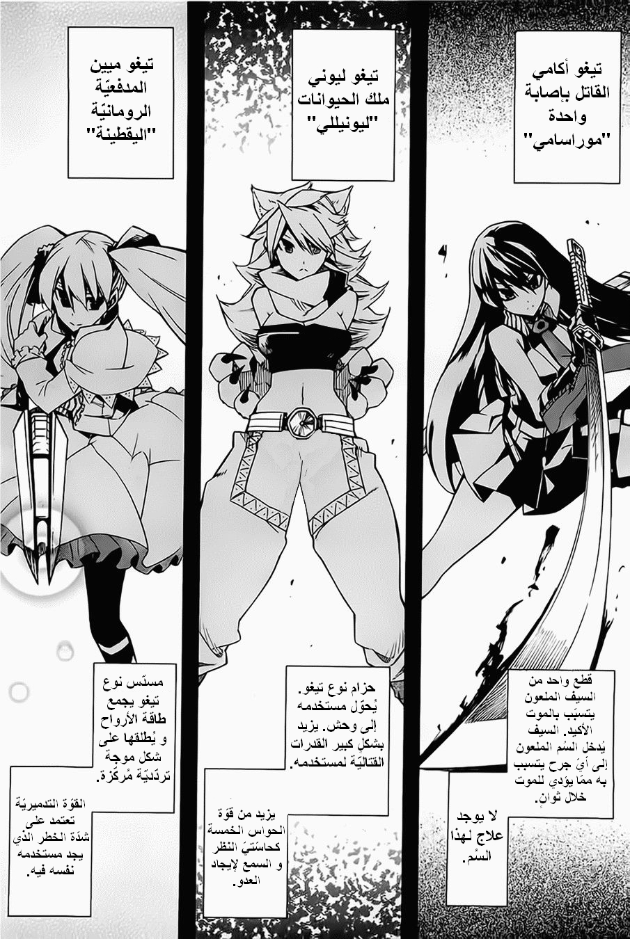 Akame ga Kill: Chapter 05 - Page 19
