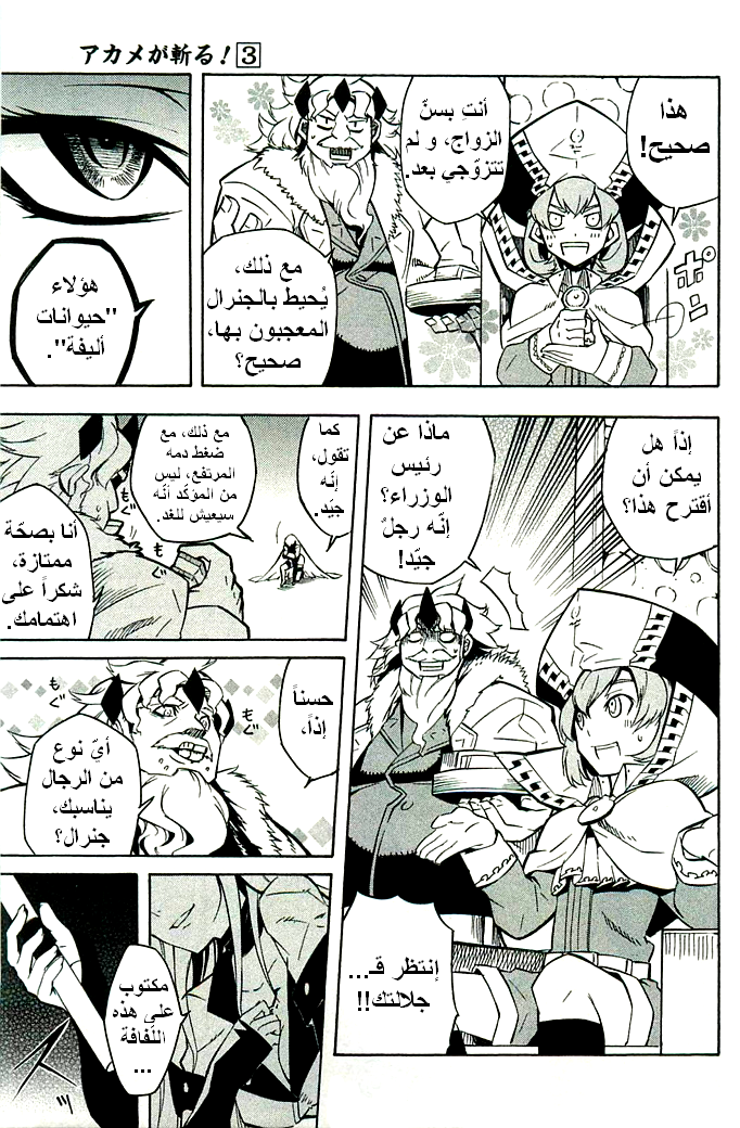 Akame ga Kill: Chapter 10 - Page 29