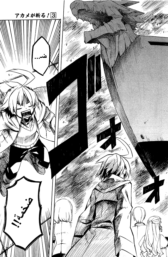 Akame ga Kill: Chapter 11 - Page 37
