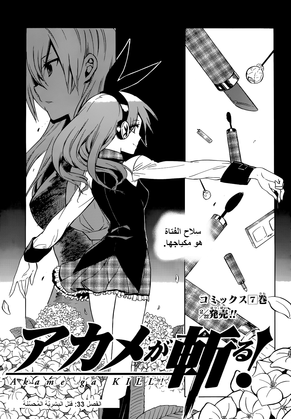 Akame ga Kill: Chapter 33 - Page 6