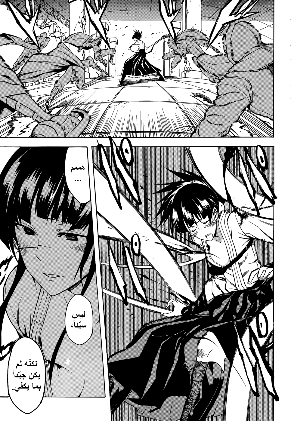 Akame ga Kill: Chapter 35 - Page 10