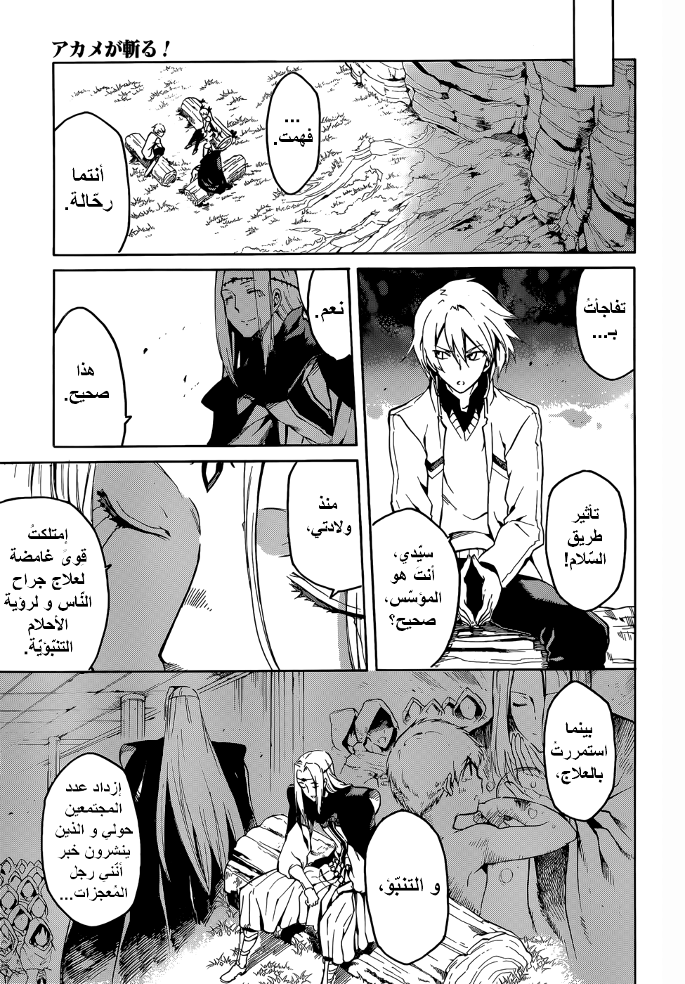 Akame ga Kill: Chapter 39 - Page 15