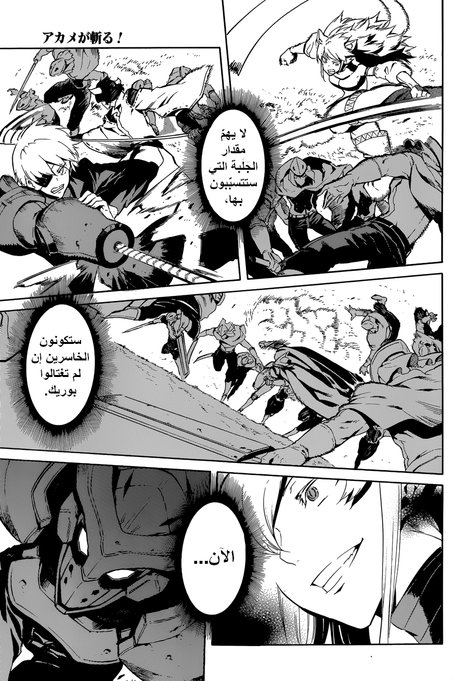 Akame ga Kill: Chapter 40 - Page 32