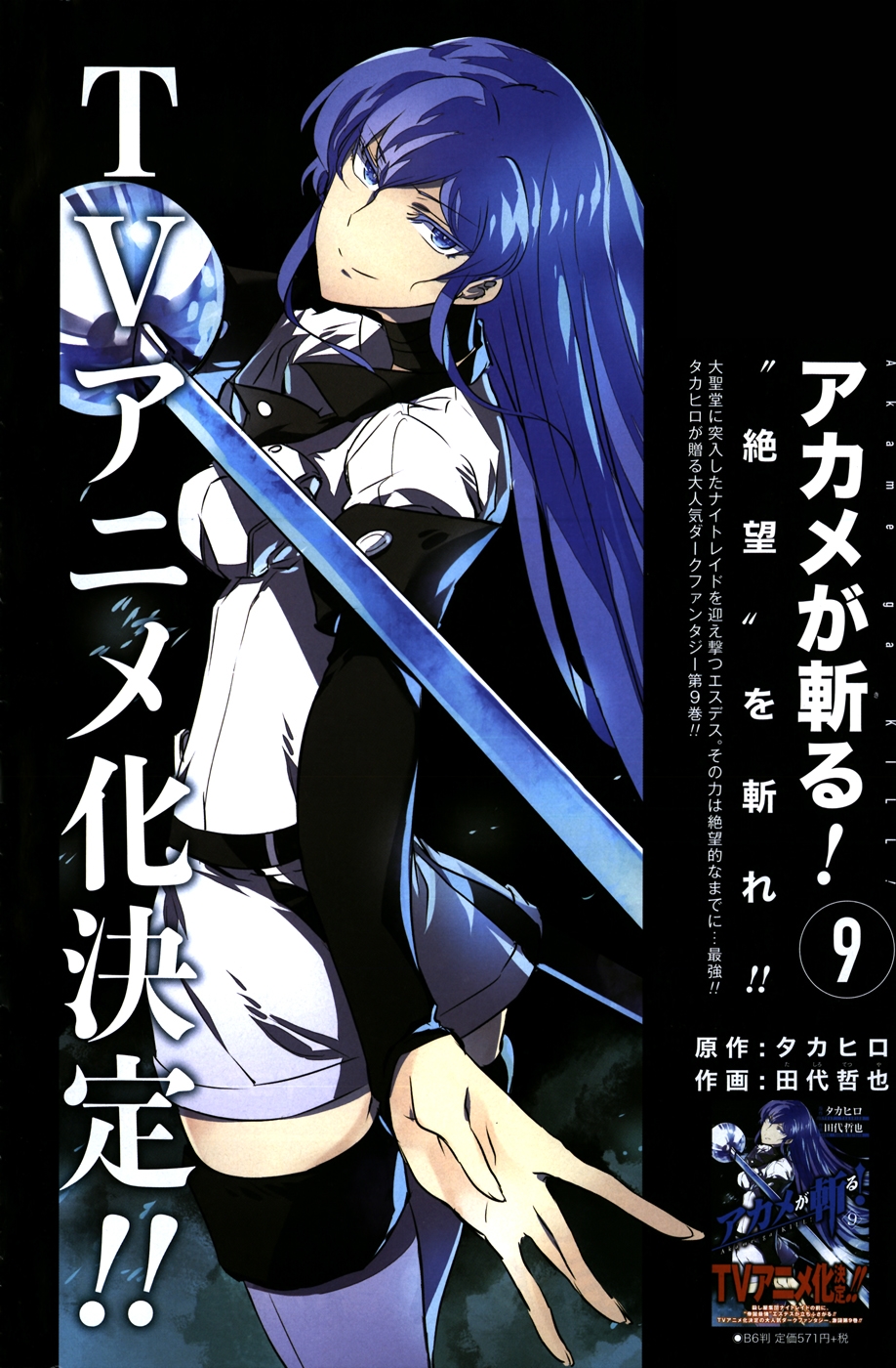 Akame ga Kill: Chapter 45 - Page 5