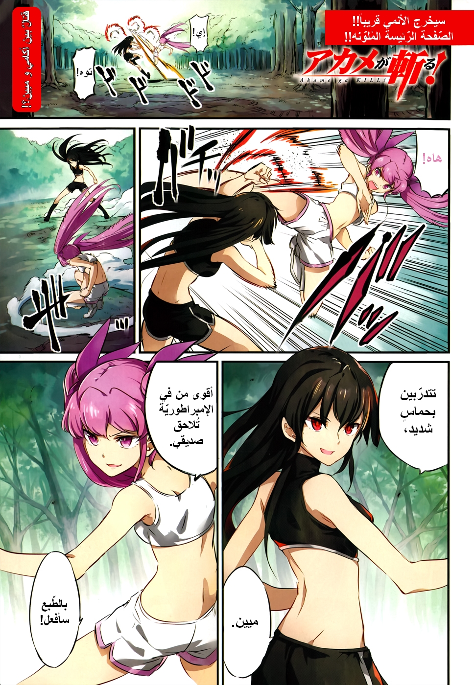 Akame ga Kill: Chapter 50 - Page 3
