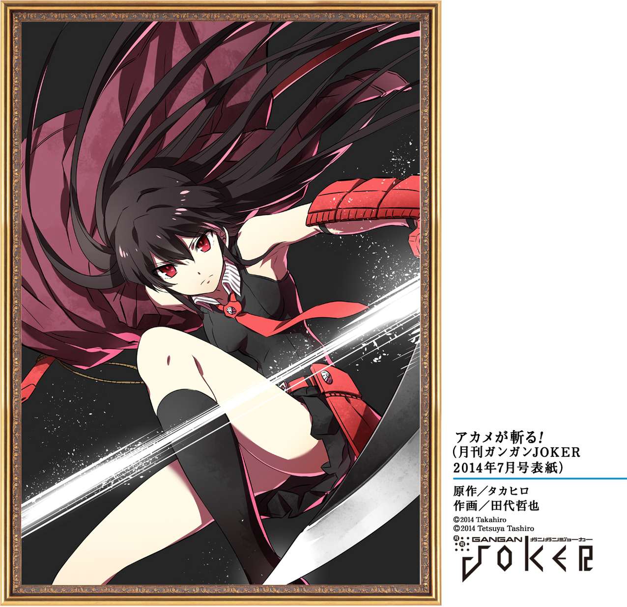 Akame ga Kill: Chapter 50 - Page 53