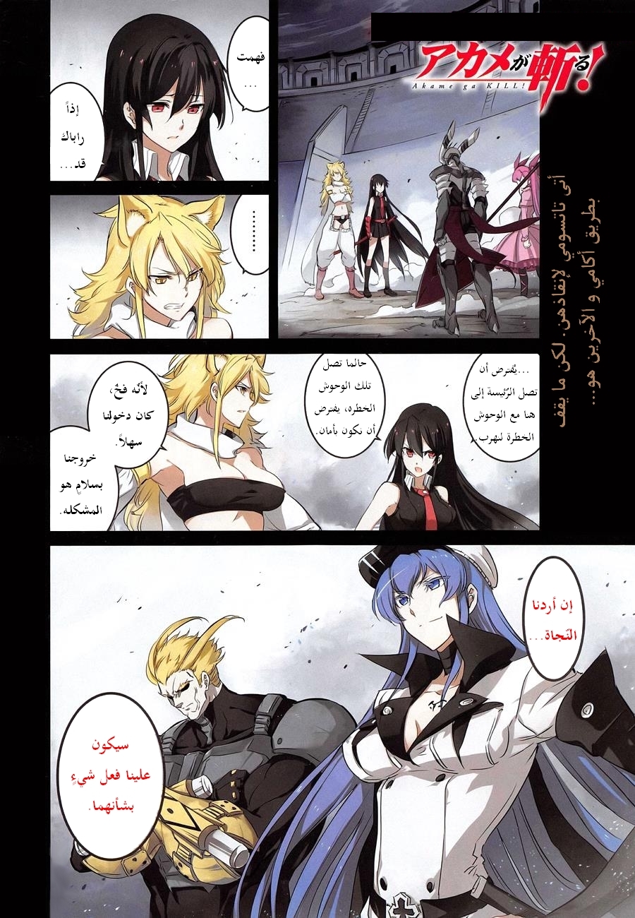 Akame ga Kill: Chapter 55 - Page 2