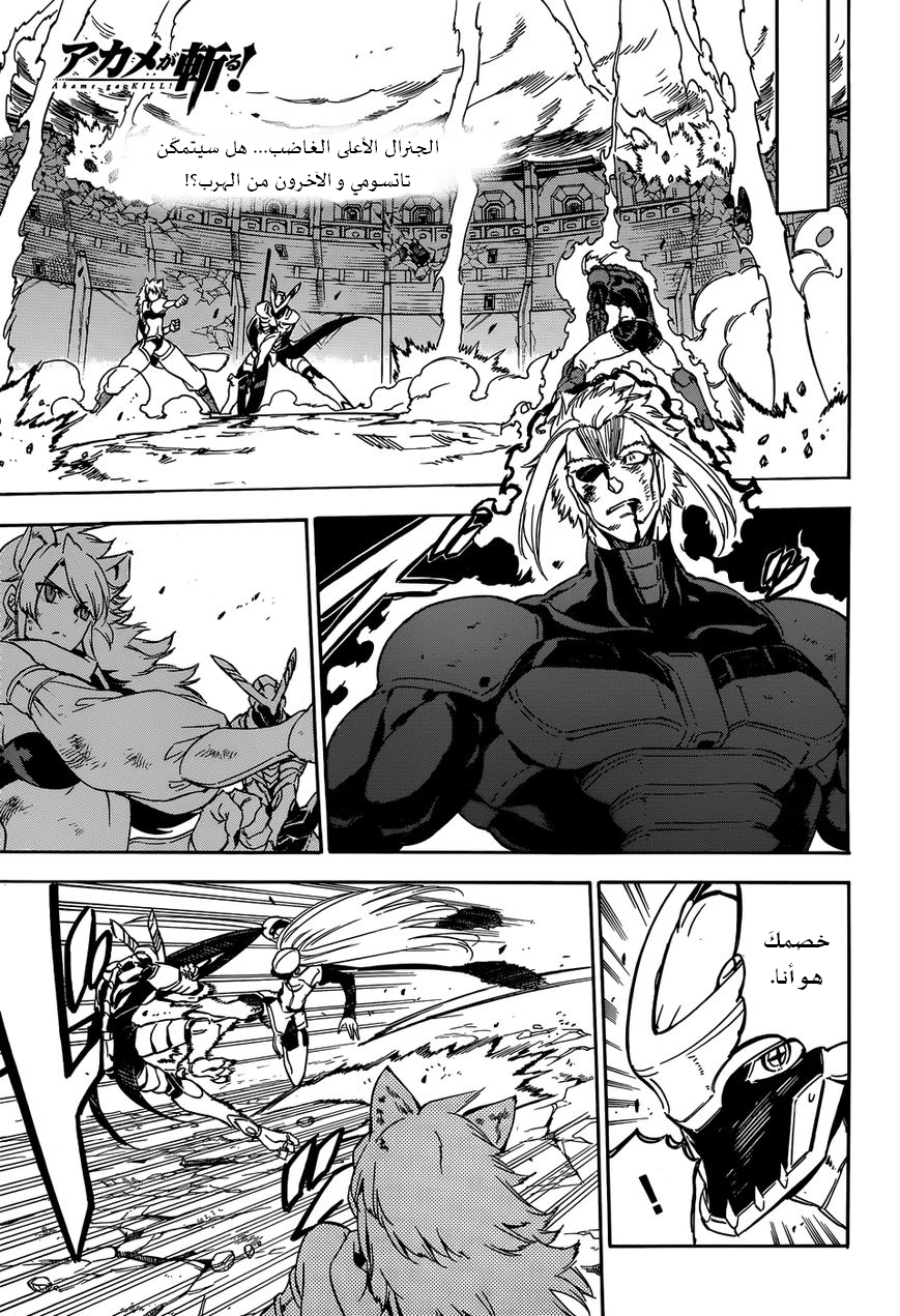 Akame ga Kill: Chapter 56 - Page 2