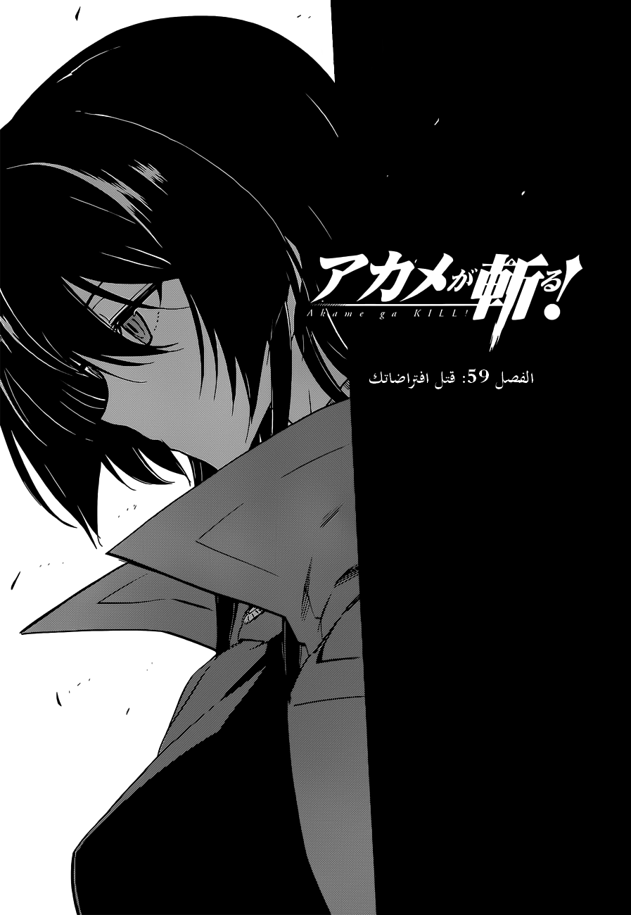 Akame ga Kill: Chapter 59 - Page 2