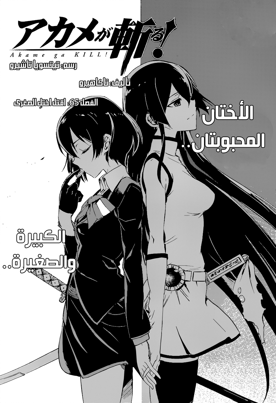 Akame ga Kill: Chapter 65 - Page 3