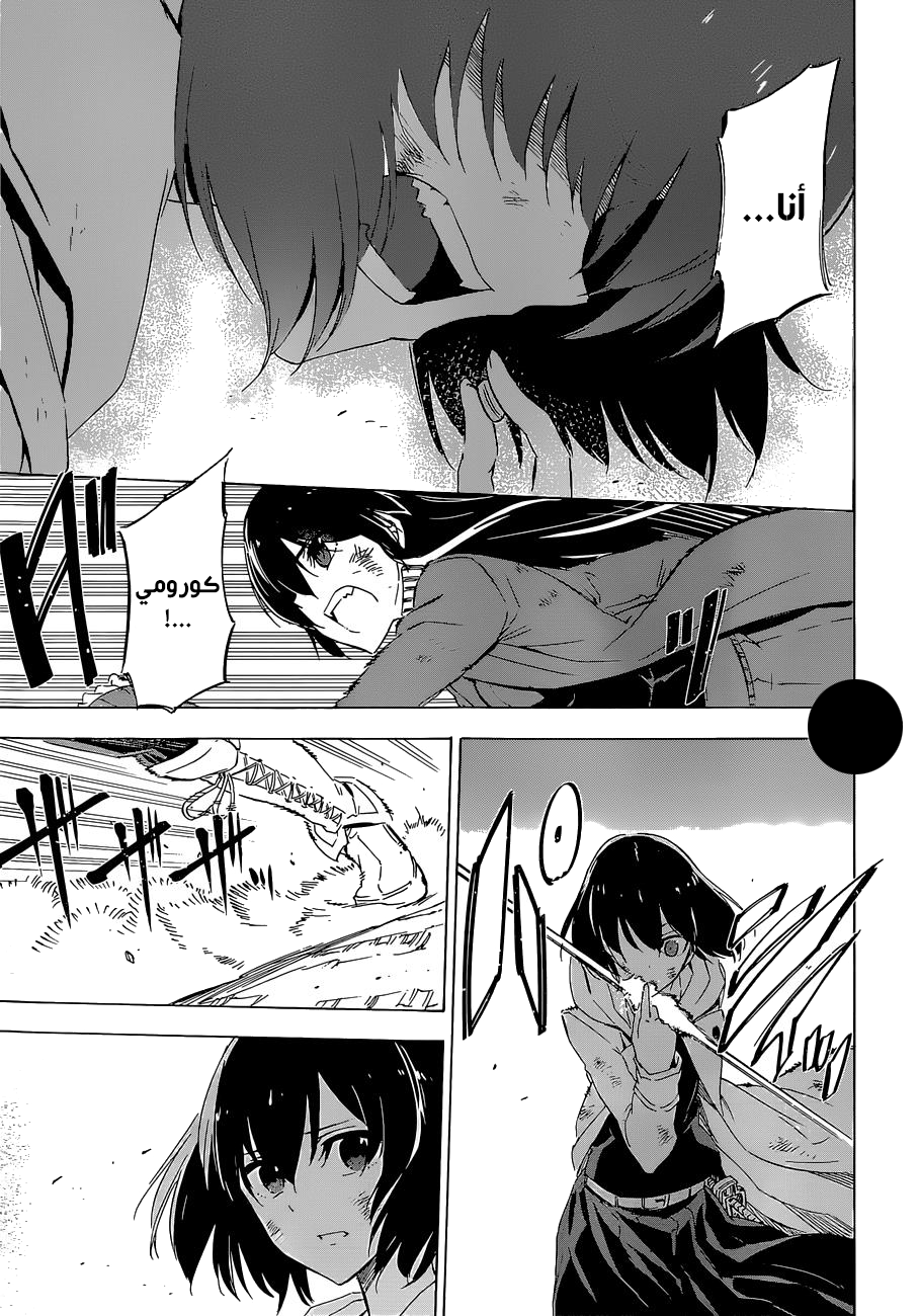 Akame ga Kill: Chapter 66 - Page 28