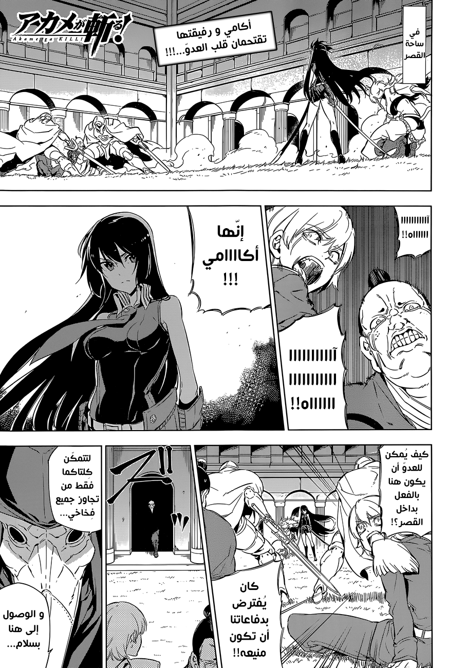 Akame ga Kill: Chapter 70 - Page 2